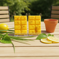 Citronella - Image 3