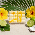 Coconut Lime - Image 3
